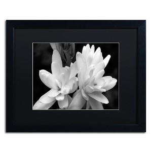 Trademark Fine Art - Kurt Shaffer 'Tuber Rose in Black and White' Matted Framed Art - 1 of 3