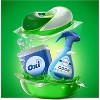 Gain Flings Laundry Detergent Pacs, 31 Count, Island Fresh Scent, 3 in 1 HE Detergent Pacs with Oxi Boost and Febreeze - 3 of 3