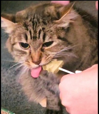 Guest review image 3 of 3, zoom in