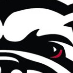 georgia bulldogs uga