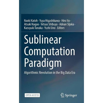 Sublinear Computation Paradigm - (Hardcover)