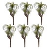 Air Plant Succulent Pick (Set of 6) - 3 of 3