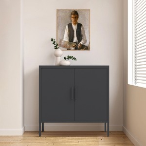 SKRAN Metal Storage Cabinet, Multi-Purpose Steel Cabinets with Doors and  Adjustable Shelves for Home, Office, and School - 1 of 4