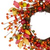 Northlight Berries and Apples Foliage Twig Artificial Thanksgiving Wreath - 18-Inch, Unlit - image 3 of 4