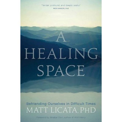 A Healing Space - by  Matt Licata (Paperback)