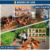 Chicken Nesting Boxes Galvanized Steel Rustproof Egg Laying Box with Egg Collection Systems, Hen Eggs Laying Box, for Chicken House/Duck House/Hen - 2 of 4