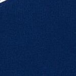 blue / silver