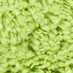 lime/green