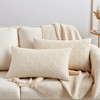REGALWOVEN Velvet Solid Decorative Scallop Texture Modern Pillowcases 2 Pcs - 2 of 4