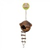 Prevue Pet Products Naturals Island Hideaway Bird & Small Animal Toy 62814 - 2 of 3