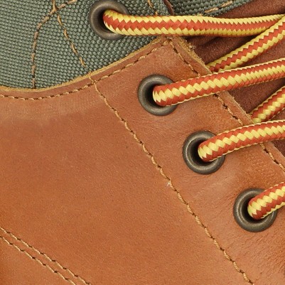 chestnut