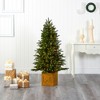 Nearly Natural 5-ft Manchester Fir Artificial Christmas Tree in Decorative Planter with 250 Clear Warm (Multifunction) - 4 of 4