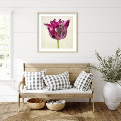 Amanti Art Single Parrot Tulip II by Dianne Poinski Framed Wall Art Print