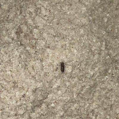 Guest review image 1 of 2, zoom in