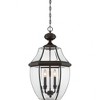 Quoizel Lighting Newbury 4 - Light Pendant in  Medici Bronze - 4 of 4