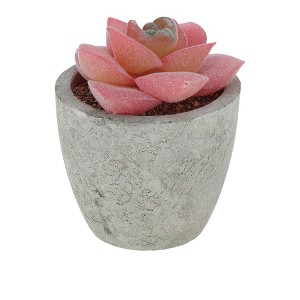 Unique Bargains Artificial Plants Mini Graptoveria in Pulp Plastic 2.36"x2.36"x3.15" 1 Pcs - 1 of 4