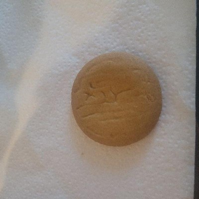 Guest review image 1 of 1, zoom in