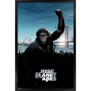 Trends International Rise of the Planet of the Apes (2011) - One Sheet Framed Wall Poster Prints - 1 of 4