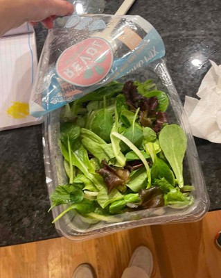 Regency Wraps Salad Saver Bag for Lettuces and Veggies