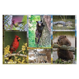 Kaplan Early Learning North American Animals Floor Puzzle - 24 Pieces - 1 of 3