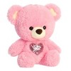 Aurora Large Heart For You Bear Valentine Heartwarming Stuffed Animal Pink 13" - 2 of 4