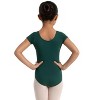 Capezio Short Sleeve Leotard - Girls - 3 of 4