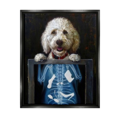 Stupell Industries Funny Dog X-Ray Snacks Framed Canvas