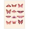 Kate & Laurel All Things Decor 28"x38" Sylvie Vintage Retro Boho Butterflies Framed Canvas by Honey Island Studio White - 2 of 4