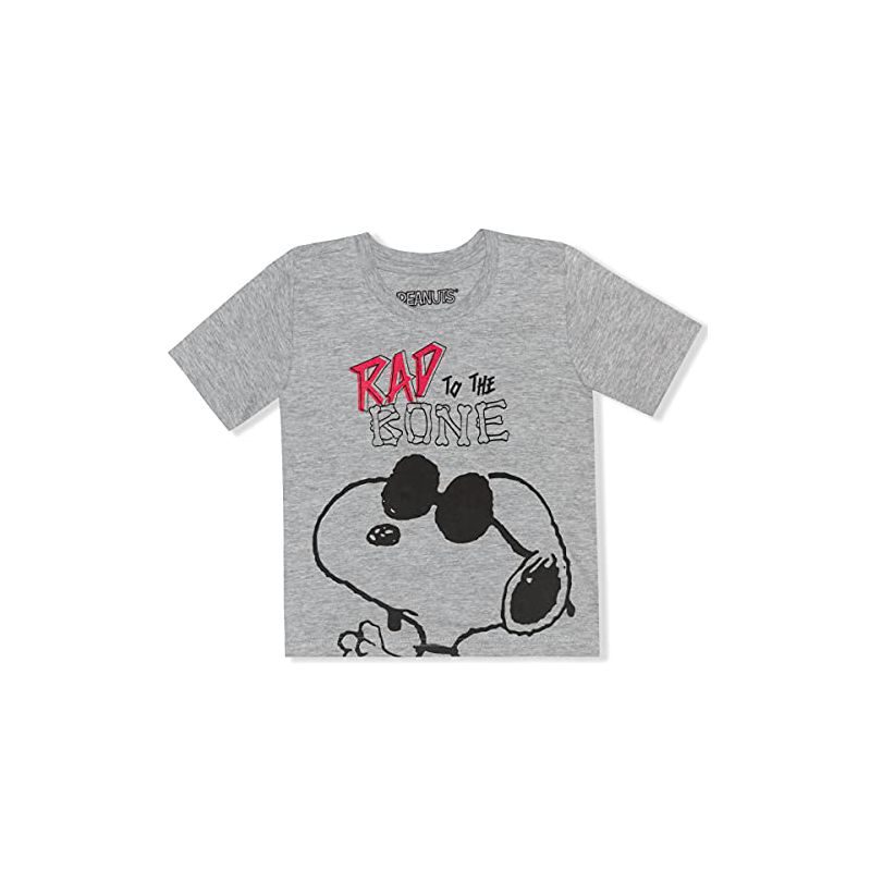 Peanuts Boy's 3-Pack Rad To The Bone Snoopy Graphic Tee, Short Sleeve Hoodie Shirt with 3D Ears and Taped Active Shorts for Toddler, 4 of 8