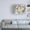 Trademark Fine Art - Silvia Vassileva 'Magnolia Simplicity Neutral Gray' - 2 of 4