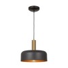 Artcraft Lighting Orsa 1 - Light Pendant in  Black/Brushed Brass - 3 of 4