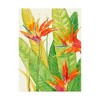 Trademark Fine Art -Tim Otoole 'Watercolor Tropical Flowers Iii' Canvas Art - image 2 of 4