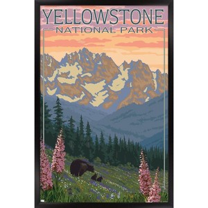 Trends International Lantern Press - Yellowstone Spring Flowers Framed Wall Poster Prints - 1 of 4