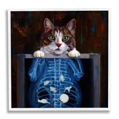 Stupell Industries Funny Cat X-Ray Mice Framed Giclee Art
