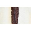 Bundle of 12 Khejur Leaves – 43" Tall Dark Brown Dried Decorative Botanicals by Kalalou - 3 of 3