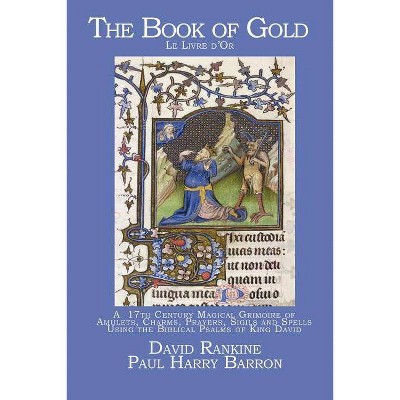 The Book of Gold - by  David Rankine (Paperback)