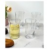 Chery Life Acrylic Glasses Drinking Set of 4, Plastic Drinking Glasses, Cocktail Glasses, Drinkware Set - 4 of 4