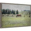 Amanti Art Sun Drenched II (Horse) by Elizabeth Urquhart Canvas Wall Art Print Framed 23-in. x 16-in. - 2 of 4