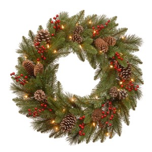 24" Prelit Flocked Bristle Berry Pine Christmas Wreath Green with White Lights - National Tree Company - 1 of 4