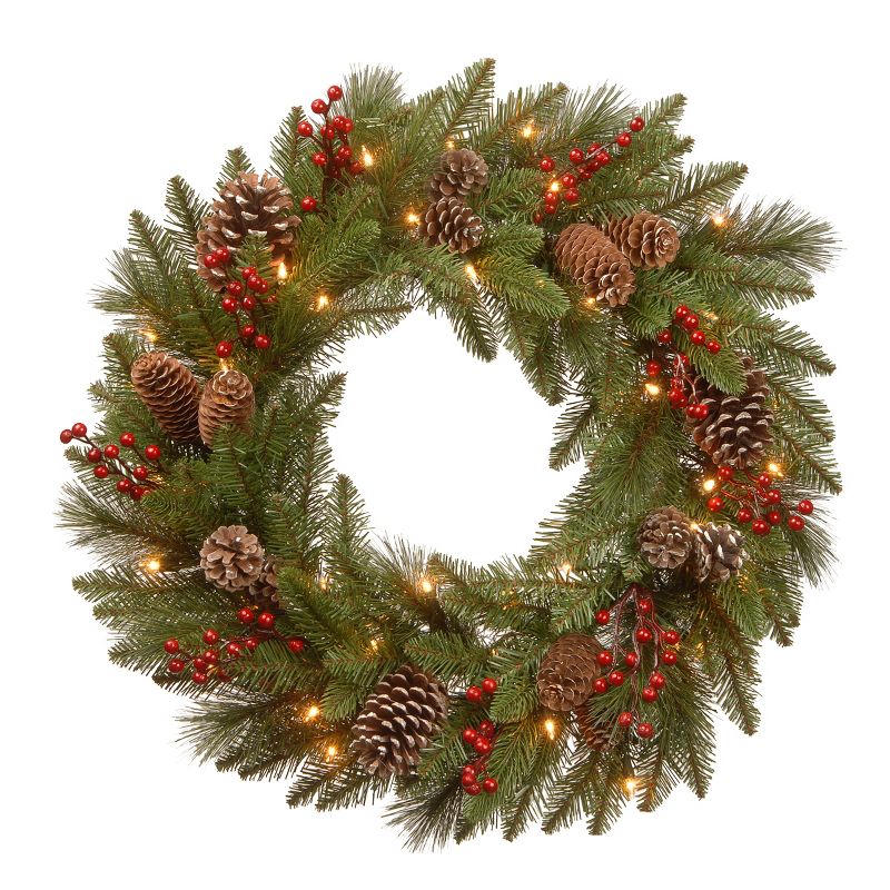 24" Prelit Flocked Bristle Berry Pine Christmas Wreath Green with White Lights - National Tree Company, 1 of 8