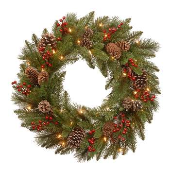 24" Pre-Lit Bristle Berry Frosted Branches Pine Artificial Christmas Wreath Green with White Lights - National Tree Company