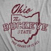 Mens Funny T Shirts Ohio The Buckeye State Sarcastic Graphic Novelty Tee For Men - Crazy Dog Men's T Shirt with Fun Design - 2 of 4