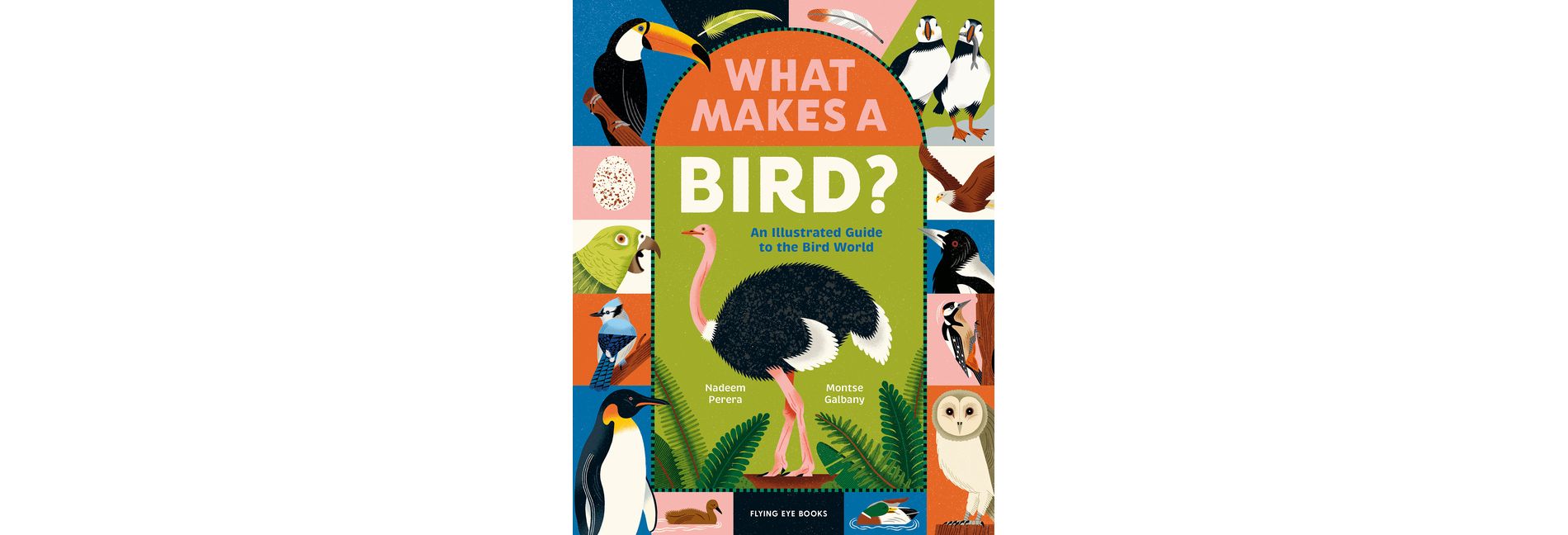 What Makes a Bird?: An Illustrated Guide to the Bird World - by  Nadeem Perera (Hardcover)