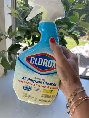 Clorox Rain Clean Scent Clean-up All Purpose Cleaner With Bleach Spray ...