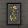 Trademark Fine Art-Vision Studio 'Midnight Botanical I' - Backlit LED Lightbox with Metal Frame - Ready to Hang with Anti-Glare Acrylic Cover - 4 of 4