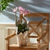Plum & Post Arbre Vase Large - 4 of 4