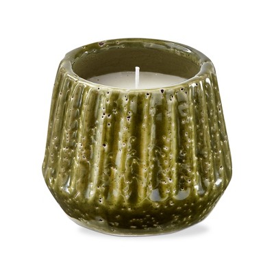 TAG Santa Cruz Citronella Unscented Candle in Terra Cotta Pot Green 4.5L x 4.5Wx 3.75H 7.1 oz Burn Time 8 Hrs.