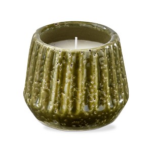TAG Santa Cruz Citronella Unscented Candle in Terra Cotta Pot Green 4.5L x 4.5Wx 3.75H 7.1 oz Burn Time 8 Hrs. - 1 of 2