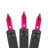 Novelty Lights 50 Feet 100 Bulbs Incandescent Mini Lights, Black Wire with 6" Spacing, UL Listed for Indoor/Outdoor Use, Connectable - 3 of 4