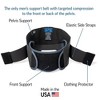 Men's Pelvic Support Belt by Diane Lee - 2 of 4